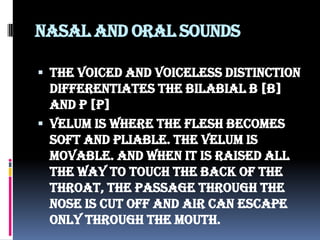 Nasal and Oral Sounds
 The voiced and voiceless distinction
differentiates the bilabial b [b]
and p [p]
 Velum is where the flesh becomes
soft and pliable. The velum is
movable. And when it is raised all
the way to touch the back of the
throat, the passage through the
nose is cut off and air can escape
only through the mouth.
 
