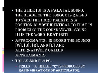  The glide [j] is a palatal sound,
the blade of the tongue is raised
toward the hard palate in a
position almost identical to that in
producing the sound vowel sound
[i] in the word beat [bit]
 Approximants. In books the sounds
[w], [j], [r], and [l] are
alternatively called
approximants.
 Trills and Flaps .
 trills : a trilled “r” is produced by
rapid vibrations of articulator.
 