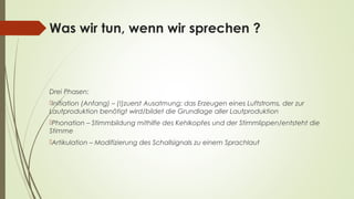 Was wir tun, wenn wir sprechen ? 
Drei Phasen: 
Initiation (Anfang) – (!)zuerst Ausatmung: das Erzeugen eines Luftstroms, der zur 
Lautproduktion benötigt wird/bildet die Grundlage aller Lautproduktion 
Phonation – Stimmbildung mithilfe des Kehlkopfes und der Stimmlippen/entsteht die 
Stimme 
Artikulation – Modifizierung des Schallsignals zu einem Sprachlaut 
 