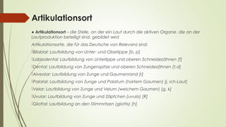 Artikulationsort 
● Artikulationsort – die Stelle, an der ein Laut durch die aktiven Organe, die an der 
Lautproduktion beteiligt sind, gebildet wird 
Artikulationsorte, die für das Deutsche von Relevanz sind: 
Bilabial: Lautbildung von Unter- und Oberlippe [b, p] 
Labiodental: Lautbildung von Unterlippe und oberen Schneidezähnen [f] 
Dental: Lautbildung von Zungenspitze und oberen Schneidezähnen [t,d] 
Alveolar: Lautbildung von Zunge und Gaumenrand [r] 
Palatal: Lautbildung von Zunge und Palatum (hartem Gaumen) [j, ich-Laut] 
Velar: Lautbildung von Zunge und Velum (weichem Gaumen) [g, k] 
Uvular: Lautbildung von Zunge und Zäpfchen (uvula) [R] 
Glottal: Lautbildung an den Stimmritzen (glottis) [h] 
 