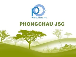 Phongchau jsc presentation