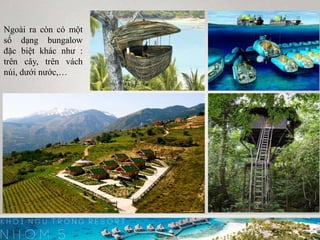 Ngoài ra còn có một
số dạng bungalow
đặc biệt khác như :
trên cây, trên vách
núi, dưới nước,…
 