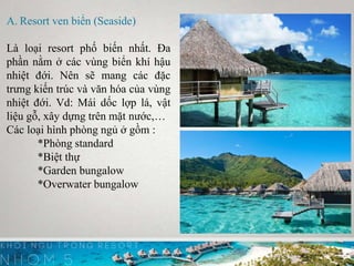 A. Resort ven biển (Seaside)
Là loại resort phố biến nhất. Đa
phần nằm ở các vùng biển khí hậu
nhiệt đới. Nên sẽ mang các đặc
trưng kiến trúc và văn hóa của vùng
nhiệt đới. Vd: Mái dốc lợp lá, vật
liệu gỗ, xây dựng trên mặt nước,…
Các loại hình phòng ngủ ở gồm :
*Phòng standard
*Biệt thự
*Garden bungalow
*Overwater bungalow
 