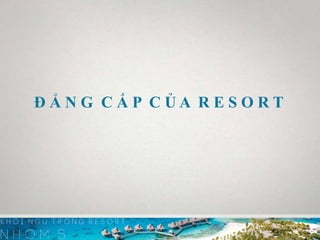 Đ Ẳ N G C Ấ P C Ủ A R E S O R T
 