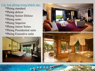 Các loại phòng trong khách sạn :
*Phòng standard
*Phòng deluxe
*Phòng Senior-Deluxe
*Phòng suite:
*Phòng Superior
*Phòng Junior Suites
*Phòng Presidential suite
*Phòng Executive suite
 