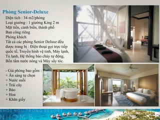 Phòng Senior-Deluxe
Diện tích : 34 m2/phòng
Loại giường : 1 giường King 2 m
Mặt tiền, cảnh biển, thành phố
Ban công riêng
Phòng khách
Tất cả các phòng Senior Deluxe đều
được trang bị : Điện thoại gọi trực tiếp
quốc tế, Truyền hình vệ tinh, Máy lạnh,
Tủ lạnh, Hệ thống báo cháy tự động,
Bồn tắm nước nóng và Máy sấy tóc.
- Giá phòng bao gồm :
+ Ăn sáng tự chọn
+ Nước suối
+ Trái cây
+ Báo
+ Hoa
+ Khăn giấy
 