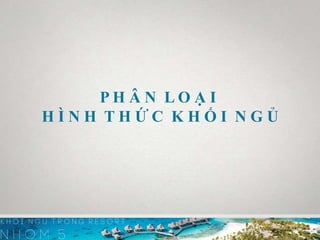 P H Â N L O Ạ I
H Ì N H T H Ứ C K H Ố I N G Ủ
 