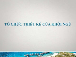 TỔ CHỨC THIẾT KẾ CỦA KHỐI NGỦ
 