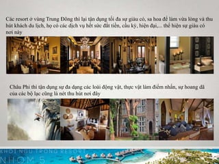 Các resort ở vùng Trung Đông thì lại tận dụng tối đa sự giàu có, sa hoa để làm vừa lòng và thu
hút khách du lịch, họ có các dịch vụ hết sức đắt tiền, cầu kỳ, hiện đại,... thể hiện sự giàu có
nơi này
Châu Phi thì tận dụng sự đa dạng các loài động vật, thực vật làm điểm nhấn, sự hoang dã
của các bộ lạc cũng là nét thu hút nơi đây
 