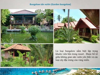 Bungalow sân vườn (Garden bungalow)
Là loại bungalow nằm biệt lập trong
khuôn viên bên trong resort . Được bố trí
giữa không gian sân vườn yên tĩnh và các
loại cây đặc trưng của vùng miền.
 