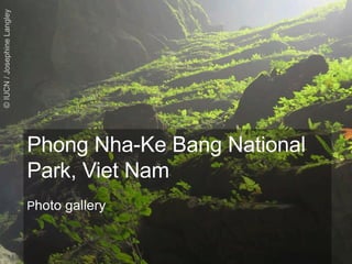 Phong Nha-Ke Bang National
Park, Viet Nam
Photo gallery
 