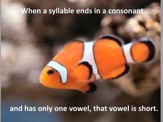       When a syllable ends in a consonantand has only one vowel, that vowel is short.