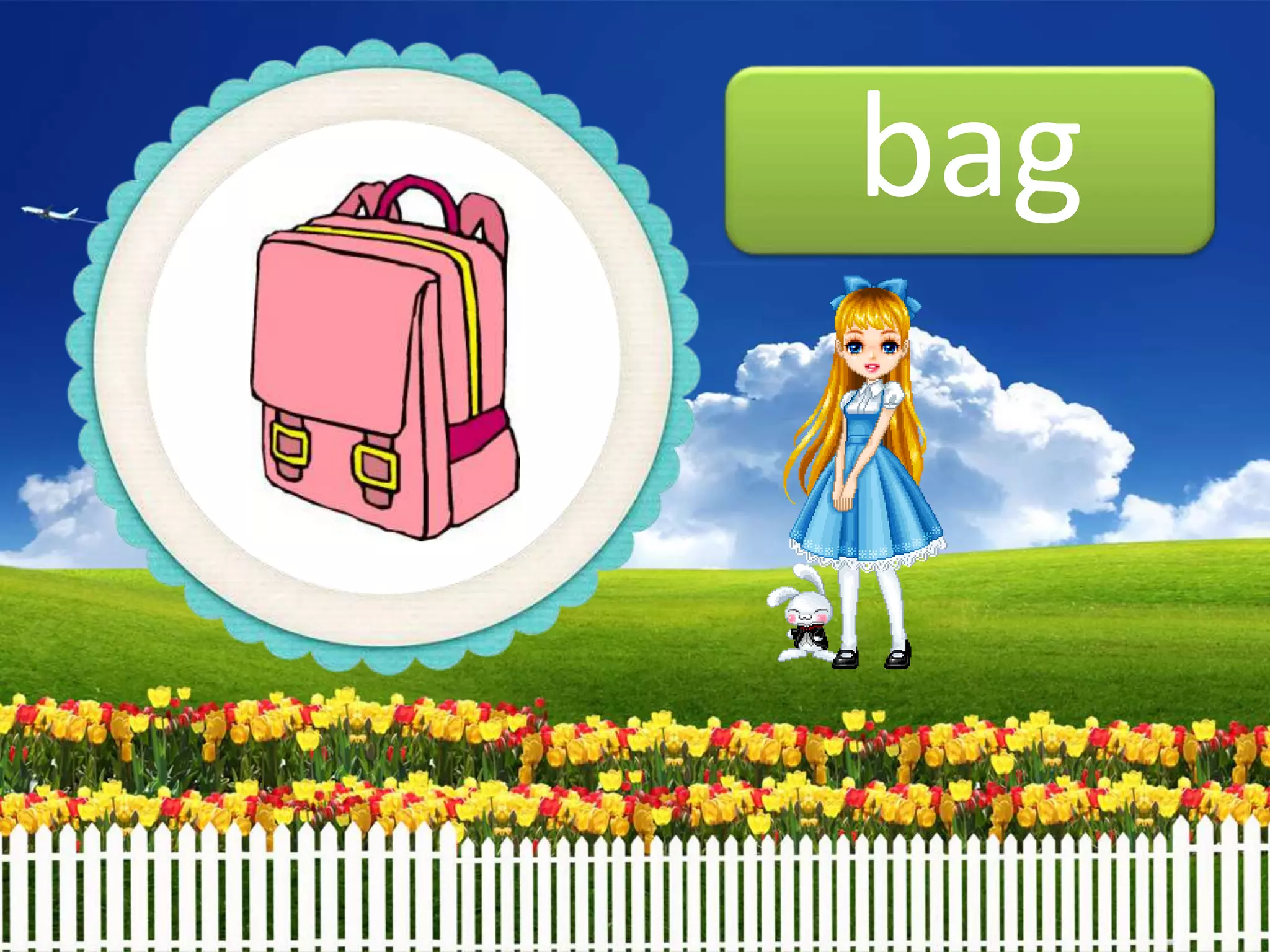 bag
 