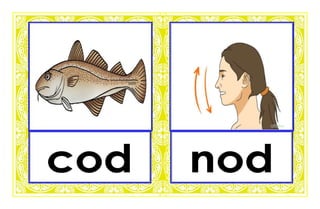 Phonics o