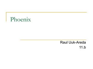 Phoenix  Raul Uuk-Areda 11.b 