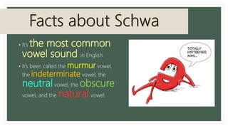 • It’s the most common
vowel sound in English.
• It’s been called the murmur vowel,
the indeterminate vowel, the
neutral vowel, the obscure
vowel, and the natural vowel.
 