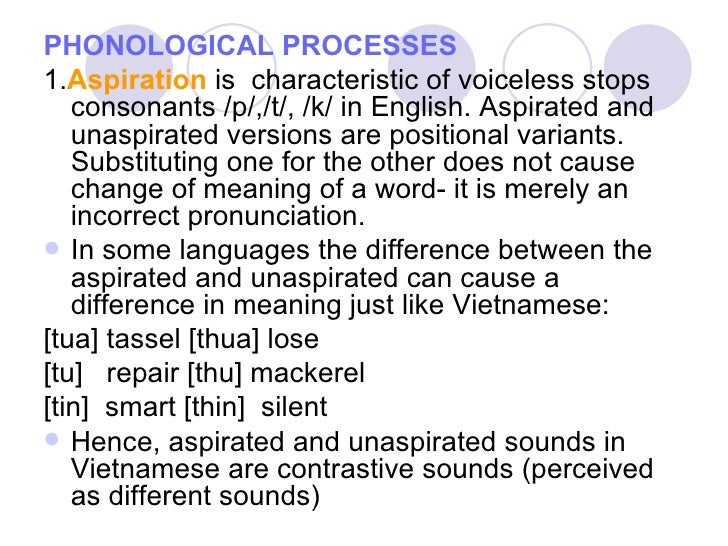 Phonological processes