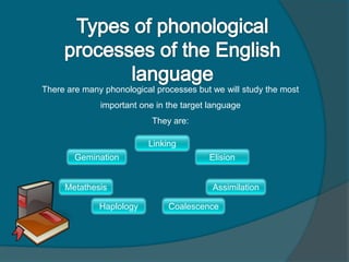 There are many phonological processes but we will study the most
important one in the target language
They are:
Haplology Coalescence
Gemination
Metathesis
Elision
Assimilation
Linking
 