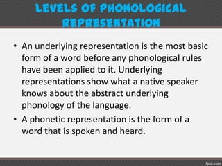 Levels of phonologicalrepresentation
• An underlying representation is the most basic
form of a word before any phonological rules
have been applied to it. Underlying
representations show what a native speaker
knows about the abstract underlying
phonology of the language.
• A phonetic representation is the form of a
word that is spoken and heard.
 