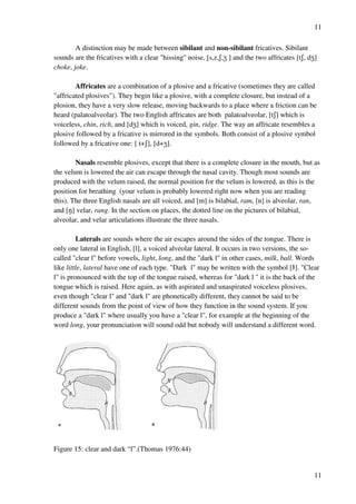 11
11
A distinction may be made between sibilant and non-sibilant fricatives. Sibilant
sounds are the fricatives with a clear "hissing" noise, [s,z,R,Y ] and the two affricates [tR, dY]
choke, joke.
Affricates are a combination of a plosive and a fricative (sometimes they are called
"affricated plosives"). They begin like a plosive, with a complete closure, but instead of a
plosion, they have a very slow release, moving backwards to a place where a friction can be
heard (palatoalveolar). The two English affricates are both palatoalveolar, [tR] which is
voiceless, chin, rich, and [dY] which is voiced, gin, ridge. The way an affricate resembles a
plosive followed by a fricative is mirrored in the symbols. Both consist of a plosive symbol
followed by a fricative one: [ t+R], [d+Y].
Nasals resemble plosives, except that there is a complete closure in the mouth, but as
the velum is lowered the air can escape through the nasal cavity. Though most sounds are
produced with the velum raised, the normal position for the velum is lowered, as this is the
position for breathing (your velum is probably lowered right now when you are reading
this). The three English nasals are all voiced, and [m] is bilabial, ram, [n] is alveolar, ran,
and [M] velar, rang. In the section on places, the dotted line on the pictures of bilabial,
alveolar, and velar articulations illustrate the three nasals.
Laterals are sounds where the air escapes around the sides of the tongue. There is
only one lateral in English, [l], a voiced alveolar lateral. It occurs in two versions, the so-
called "clear l" before vowels, light, long, and the "dark l" in other cases, milk, ball. Words
like little, lateral have one of each type. "Dark l" may be written with the symbol [4]. "Clear
l" is pronounced with the top of the tongue raised, whereas for "dark l " it is the back of the
tongue which is raised. Here again, as with aspirated and unaspirated voiceless plosives,
even though "clear l" and "dark l" are phonetically different, they cannot be said to be
different sounds from the point of view of how they function in the sound system. If you
produce a "dark l" where usually you have a "clear l", for example at the beginning of the
word long, your pronunciation will sound odd but nobody will understand a different word.
Figure 15: clear and dark “l”.(Thomas 1976:44)
 