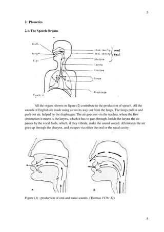 5
5
2. Phonetics
2.1. The Speech Organs
All the organs shown on figure (2) contribute to the production of speech. All the
sounds of English are made using air on its way out from the lungs. The lungs pull in and
push out air, helped by the diaphragm. The air goes out via the trachea, where the first
obstruction it meets is the larynx, which it has to pass through. Inside the larynx the air
passes by the vocal folds, which, if they vibrate, make the sound voiced. Afterwards the air
goes up through the pharynx, and escapes via either the oral or the nasal cavity.
Figure (3) : production of oral and nasal sounds. (Thomas 1976: 32)
 
