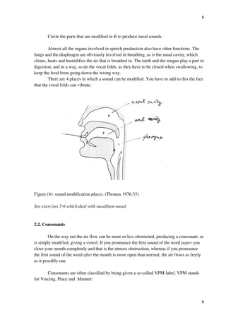 6
6
Circle the parts that are modified in B to produce nasal sounds.
Almost all the organs involved in speech production also have other functions. The
lungs and the diaphragm are obviously involved in breathing, as is the nasal cavity, which
cleans, heats and humidifies the air that is breathed in. The teeth and the tongue play a part in
digestion, and in a way, so do the vocal folds, as they have to be closed when swallowing, to
keep the food from going down the wrong way.
There are 4 places in which a sound can be modified. You have to add to this the fact
that the vocal folds can vibrate.
Figure (4): sound modification places. (Thomas 1976:33)
See exercises 5-6 which deal with nasal/non-nasal
2.2. Consonants
On the way out the air flow can be more or less obstructed, producing a consonant, or
is simply modified, giving a vowel. If you pronounce the first sound of the word paper you
close your mouth completely and that is the utmost obstruction, whereas if you pronounce
the first sound of the word after the mouth is more open than normal, the air flows as freely
as it possibly can.
Consonants are often classified by being given a so-called VPM-label. VPM stands
for Voicing, Place and Manner:
 