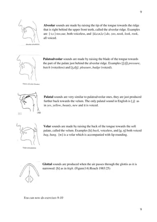9
9
Alveolar sounds are made by raising the tip of the tongue towards the ridge
that is right behind the upper front teeth, called the alveolar ridge. Examples
are [ t,s ] too,sue, both voiceless, and [d,z,n,l,r ] do, zoo, nook, look, rook,
all voiced.
Palatoalveolar sounds are made by raising the blade of the tongue towards
the part of the palate just behind the alveolar ridge. Examples [R,tR] pressure,
batch (voiceless) and [Y,dY] pleasure, badge (voiced).
Palatal sounds are very similar to palatoalveolar ones, they are just produced
further back towards the velum. The only palatal sound in English is [ j] as
in yes, yellow, beauty, new and it is voiced.
Velar sounds are made by raising the back of the tongue towards the soft
palate, called the velum. Examples [k] back, voiceless, and [g, M] both voiced
bag, bang. [w] is a velar which is accompanied with lip rounding.
Glottal sounds are produced when the air passes through the glottis as it is
narrowed: [h] as in high. (Figure(14):Roach 1983:25)
You can now do exercises 9-10
 