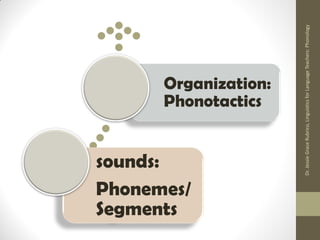 sounds: Phonemes/ Segments 
Organization: Phonotactics 
Dr. Jessie Grace Rubrico, Linguistics for Language Teachers: Phonology  