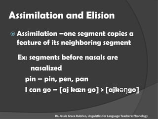 Assimilation and Elision 
Assimilation –one segment copies a feature of its neighboring segment 
Ex: segments before nasals are 
nasalized 
pin – pin, pen, pan 
I can go – [aj kæn go] > [ajkәŋgo] 
Dr. Jessie Grace Rubrico, Linguistics for Language Teachers: Phonology  