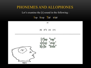 PHONEMES AND ALLOPHONES 
Let’s examine the [t] sound in the following : 
Top Stop Tar star 
 
