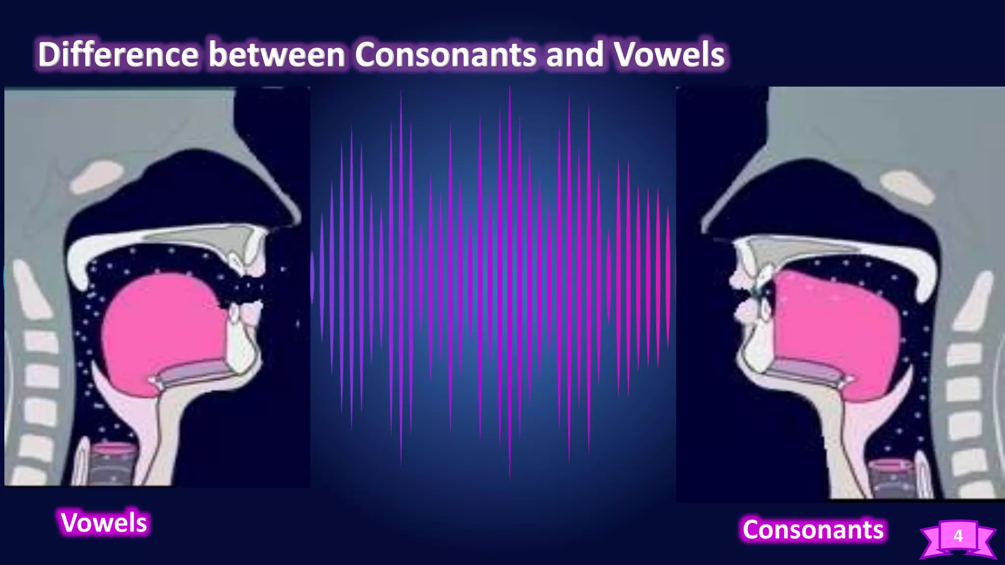 4
Vowels Consonants
 