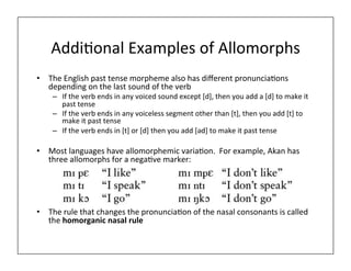 phonology.ppt.pdf