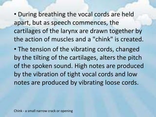• During breathing the vocal cords are held
apart, but as speech commences, the
cartilages of the larynx are drawn together by
the action of muscles and a "chink" is created.
• The tension of the vibrating cords, changed
by the tilting of the cartilages, alters the pitch
of the spoken sound. High notes are produced
by the vibration of tight vocal cords and low
notes are produced by vibrating loose cords.


Chink - a small narrow crack or opening
 