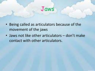 Jaws

• Being called as articulators because of the
  movement of the jaws
• Jaws not like other articulators – don’t make
  contact with other articulators.
 