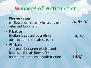 Manners of Articulation
• Plosive / stop
  air flow momentarily halted, then     /p/ /b/ /g/
  released forcefully
• Fricative
  friction is caused by a slight         /f/ /z/
  obstruction in the air stream
• Affricate
  a mixture between plosive and
                                         /t /
  fricative; the air flow is first
  halted, then released with friction   /d3/
 