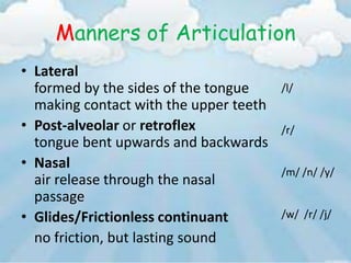 Manners of Articulation
• Lateral
  formed by the sides of the tongue     /l/
  making contact with the upper teeth
• Post-alveolar or retroflex            /r/
  tongue bent upwards and backwards
• Nasal
                                        /m/ /n/ /y/
  air release through the nasal
  passage
• Glides/Frictionless continuant        /w/ /r/ /j/

  no friction, but lasting sound
 