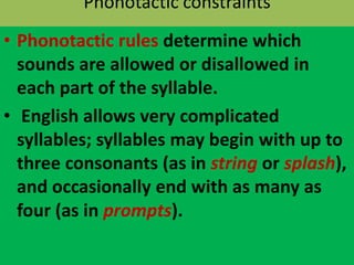 Phonotactic constraints
• Phonotactic rules determine which
sounds are allowed or disallowed in
each part of the syllable.
• English allows very complicated
syllables; syllables may begin with up to
three consonants (as in string or splash),
and occasionally end with as many as
four (as in prompts).
 