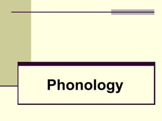 Phonology 