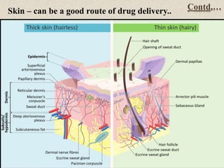 Contd,…
Skin – can be a good route of drug delivery..
 