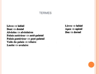 TERMES
 