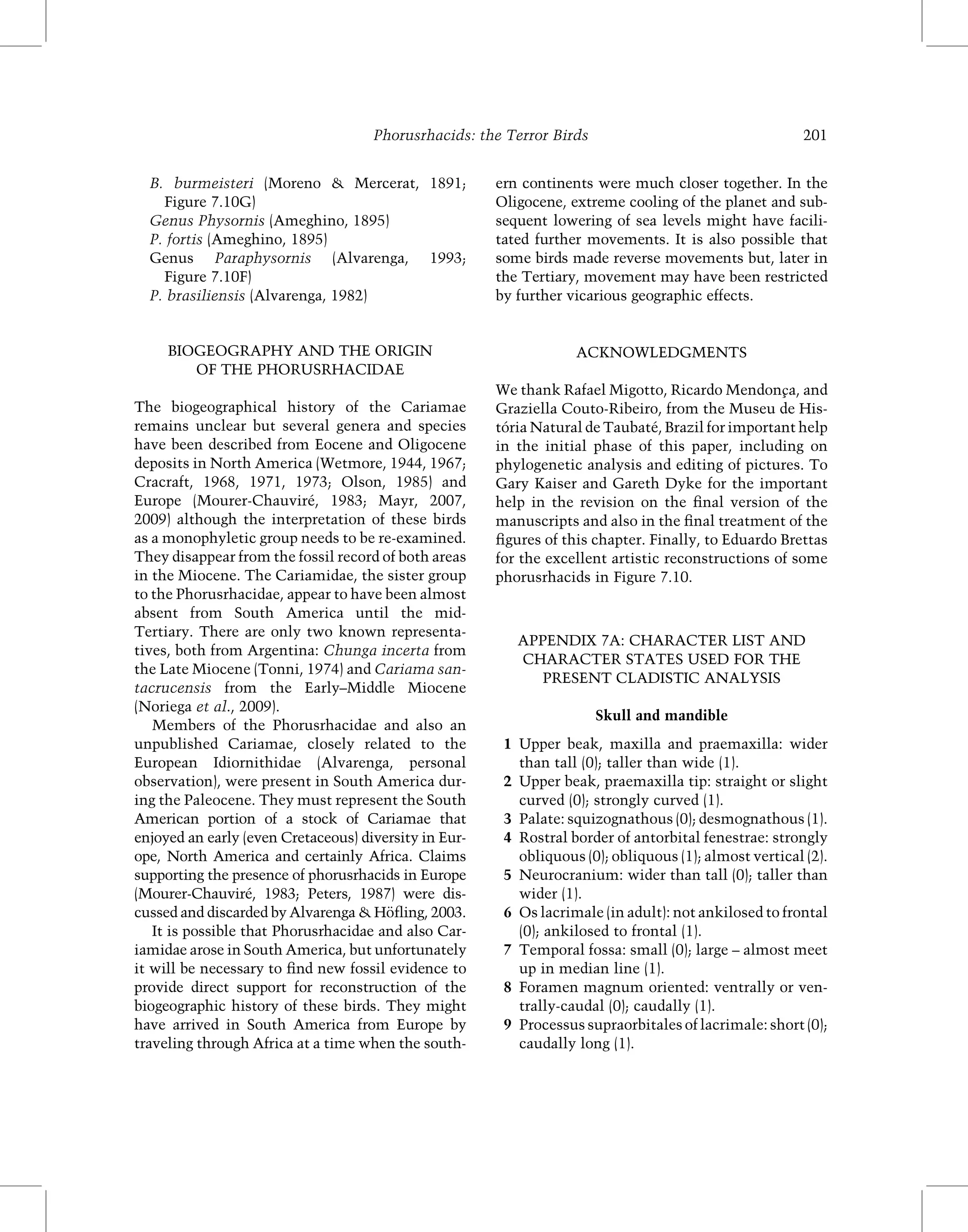 Phorusrhacids the terror birds | PDF