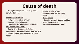 phosphorus poisoning powerpoint forensic | PPTX