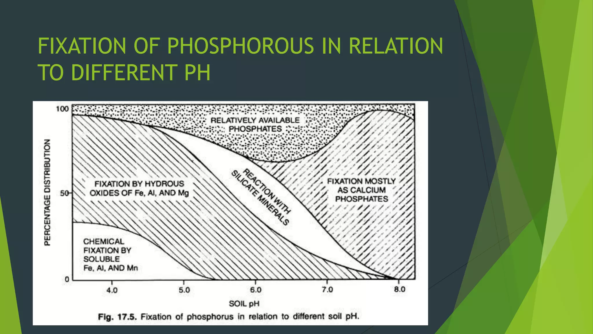 FIXATION OF PHOSPHOROUS IN RELATION
TO DIFFERENT PH
 