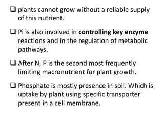  plants cannot grow without a reliable supply
of this nutrient.
 Pi is also involved in controlling key enzyme
reactions and in the regulation of metabolic
pathways.
 After N, P is the second most frequently
limiting macronutrient for plant growth.
 Phosphate is mostly presence in soil. Which is
uptake by plant using specific transporter
present in a cell membrane.
 