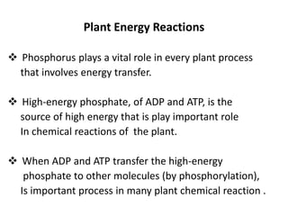 Plant Energy Reactions
 Phosphorus plays a vital role in every plant process
that involves energy transfer.
 High-energy phosphate, of ADP and ATP, is the
source of high energy that is play important role
In chemical reactions of the plant.
 When ADP and ATP transfer the high-energy
phosphate to other molecules (by phosphorylation),
Is important process in many plant chemical reaction .
 