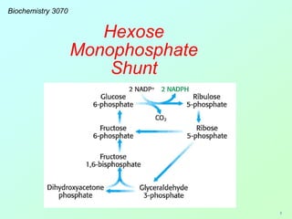 1
Biochemistry 3070
Hexose
Monophosphate
Shunt
 