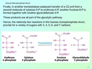 Curated visual reference: Fresh Look at Phosphate Shunt Boichemistry And Bioenergetics