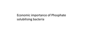 Economic importance of Phosphate
solubilising bacteria
 