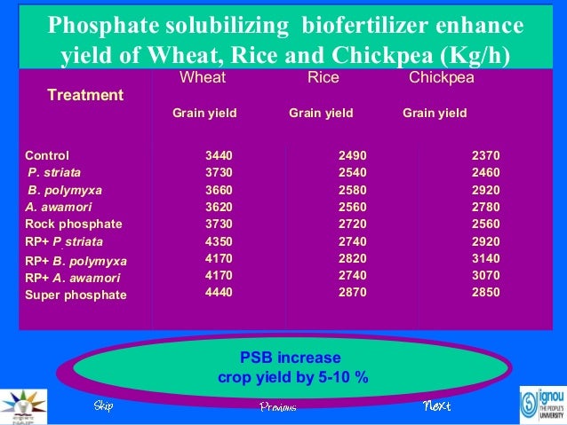 Phosphate solubilizing biofer_as_a_component_of_inm-edited