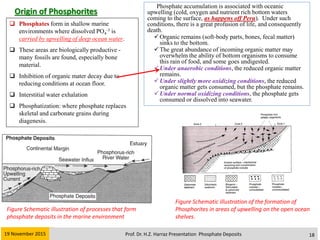 Phosphite ore deposits | PDF